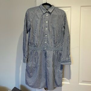 Banana Republic Stripped Shirt Dress